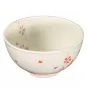 Omotenashi Hanashidare Bowl 16cm with Chopsticks | Set of 4