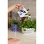 Royal Doulton Pacific Water Can | 21cm