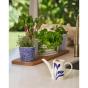 Royal Doulton Pacific Water Can | 21cm