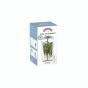 Kilner Herb Keeper | 1L