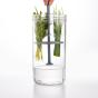 Kilner Herb Keeper | 1L