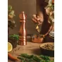 Peugeot Paris Chef Zirlion u'Select Salt Mill Copper | 22cm