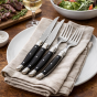 André Verdier Laguiole Debutant Black Steak Set with Tray | 12 Piece