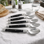 André Verdier Laguiole Debutant Black Dinner Spoon | 6 Piece