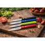 André Verdier Couteaux Prepa Culi Beech Paring Knife | Green