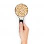OXO Good Grips Stainless Steel Measuring Cup | Set of 4