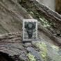 Zippo Buck Wear American Bison Head | Street Chrome