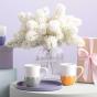 Villeroy and Boch Fleur Soleil Mug | 290ml
