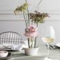 Villeroy and Boch Cellini Dessert Bowl | 210ml