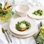 Villeroy and Boch Cellini Dinner Set | 4 Piece