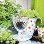 Villeroy and Boch Boston Red Wine Glass 200ml | Clear