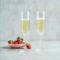 Villeroy and Boch Octavie Gift Set Sparkling Wine/Champagne Glass 120ml | 2 Piece