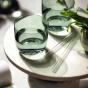 Villeroy and Boch Like Sage Water Glass 200ml | 2 Piece