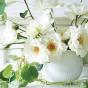 Wedgwood White Folia Rose Bowl | 13cm