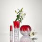Waterford Lismore Red Bud Vase | 18cm