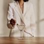 Waterford Opulence Martini Glass 240ml | 2 Piece