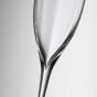 Waterford Elegance Optic Classic Champagne Flute 300ml | 2 Piece