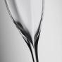 Waterford Elegance Optic Classic Champagne Flute 300ml | 2 Piece
