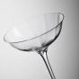 Waterford Elegance Optic Champagne Belle Coupe 200ml | 2 Piece