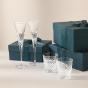 Waterford Celebrations Tumbler 340ml | 2 Piece