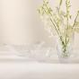 Waterford Celebrations Bowl | 33cm