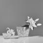 Waterford Lismore Classic Bowl | 23cm