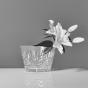 Waterford Lismore Classic Bowl | 23cm