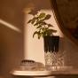 Waterford Lismore Black Vase | 30cm