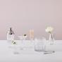 Marquis by Waterford Vector Cocktail Shaker | 710ml
