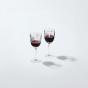 Marquis by Waterford Vector Red Wine 285ml | 2 Piece